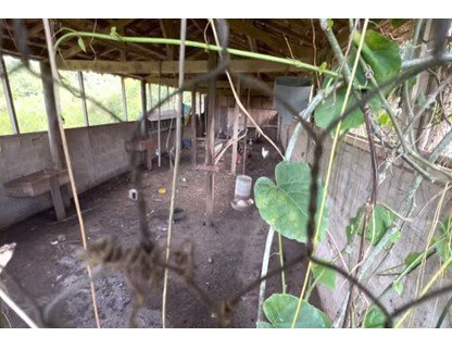 Sítio, 8000 m² - Foto 11