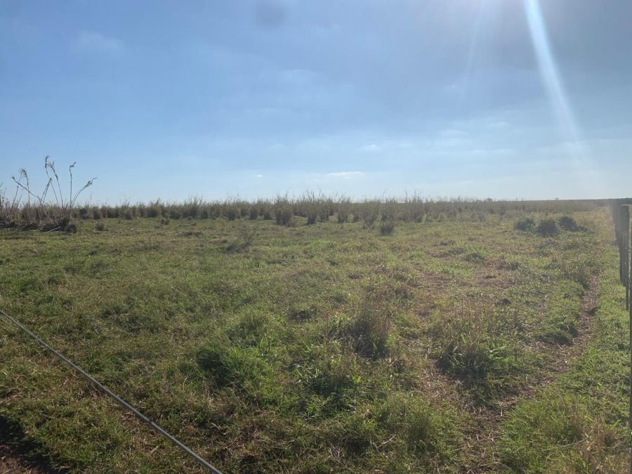 Fazenda/sítio/chácara/haras à venda, 450 m² por R$ 11.000.000,00 Fazenda/sítio/chácara/haras à venda, 450 m² por R$ 11.000.000,00