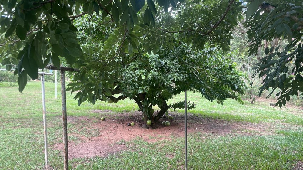 Chácara, 3 quartos, 2000 m² - Foto 13