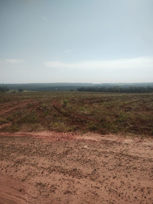 Fazenda, 300 m² - Foto 2
