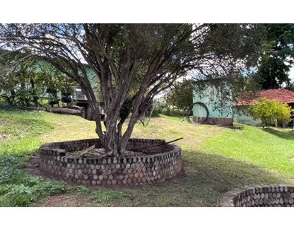 Sítio, 8000 m² - Foto 13