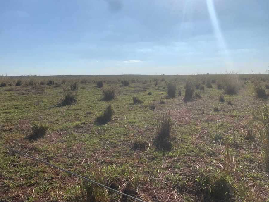 Fazenda/sítio/chácara/haras à venda, 450 m² por R$ 11.000.000,00 Fazenda/sítio/chácara/haras à venda, 450 m² por R$ 11.000.000,00