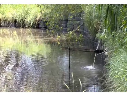 Sítio, 8000 m² - Foto 12