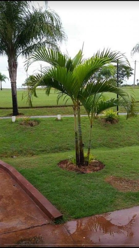 Terreno, 900 m² - Foto 12