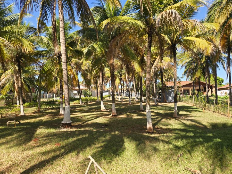 Chácara, 5000 m² - Foto 12