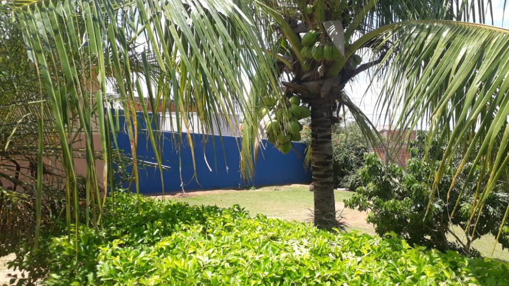 Chácara, 2 quartos, 700 m² - Foto 15