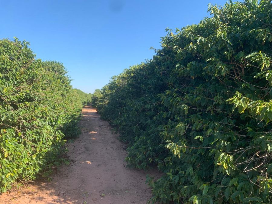 Fazenda/sítio/chácara/haras à venda, 450 m² por R$ 11.000.000,00 Fazenda/sítio/chácara/haras à venda, 450 m² por R$ 11.000.000,00