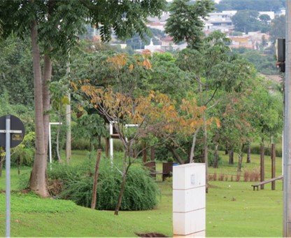 Casa, 4 quartos, 547 m² - Foto 11