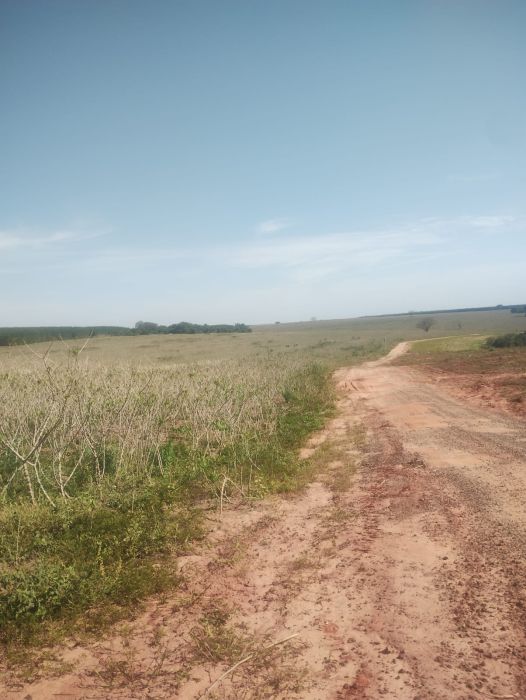 Fazenda, 300 m² - Foto 3