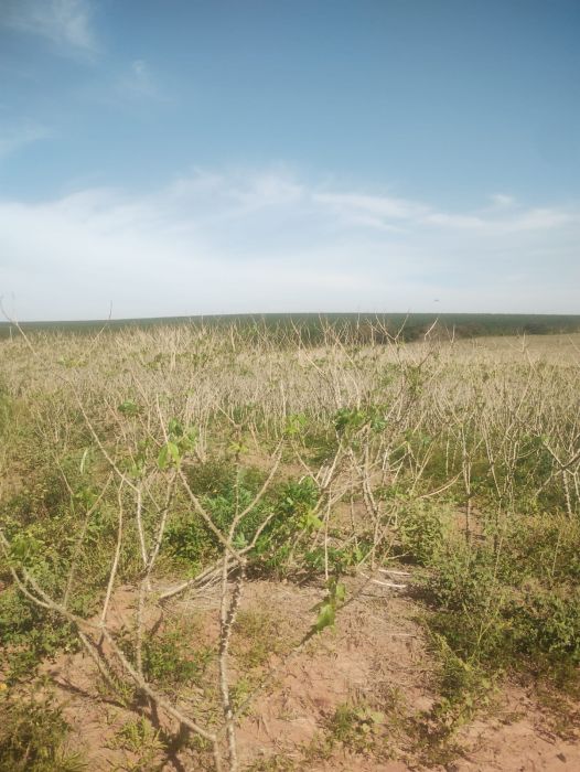 Fazenda, 300 m² - Foto 4