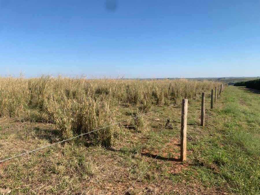 Fazenda/sítio/chácara/haras à venda, 450 m² por R$ 11.000.000,00 Fazenda/sítio/chácara/haras à venda, 450 m² por R$ 11.000.000,00