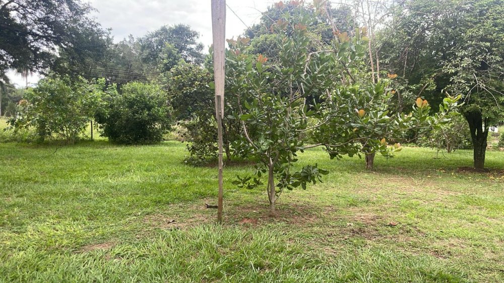 Chácara, 3 quartos, 2000 m² - Foto 12