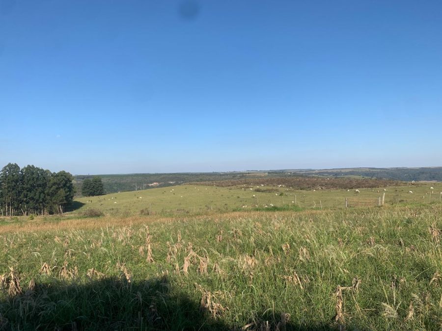 Fazenda/sítio/chácara/haras à venda, 450 m² por R$ 11.000.000,00 Fazenda/sítio/chácara/haras à venda, 450 m² por R$ 11.000.000,00