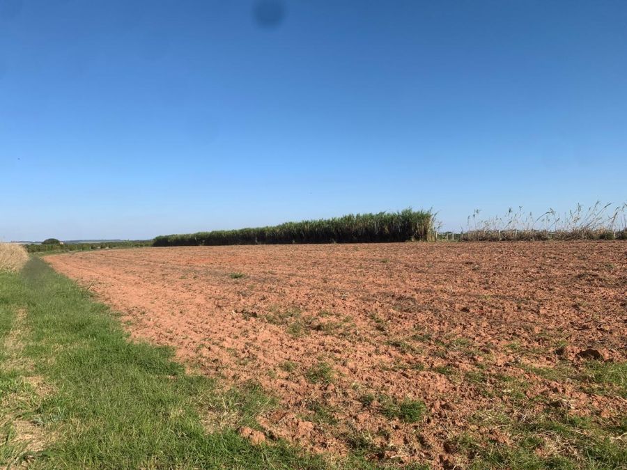 Fazenda/sítio/chácara/haras à venda, 450 m² por R$ 11.000.000,00 Fazenda/sítio/chácara/haras à venda, 450 m² por R$ 11.000.000,00