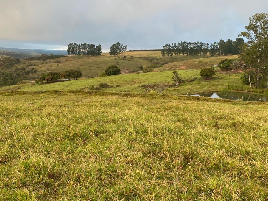 Fazenda, 318 m² - Foto 12