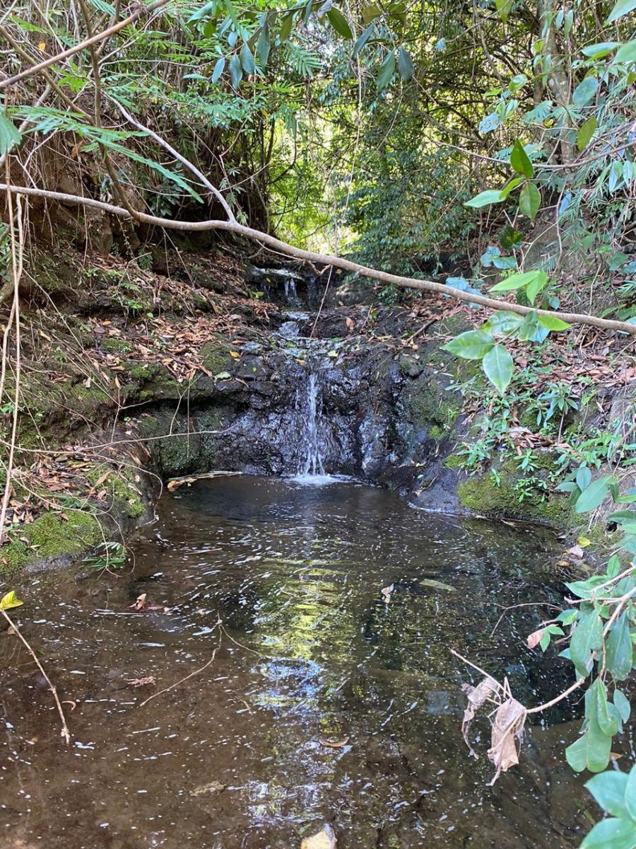 Fazenda, 318 m² - Foto 11