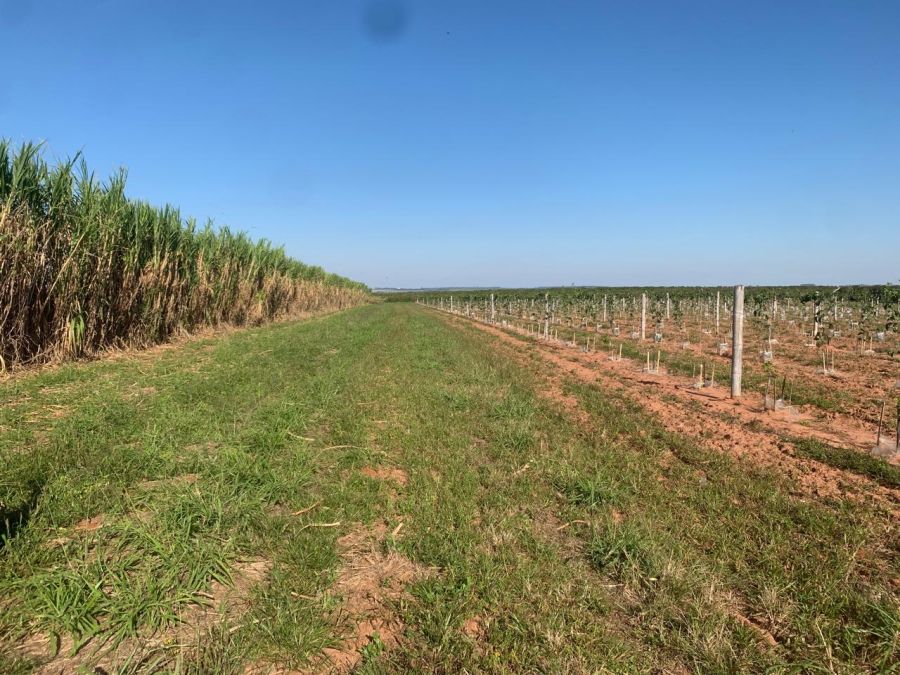 Fazenda/sítio/chácara/haras à venda, 450 m² por R$ 11.000.000,00 Fazenda/sítio/chácara/haras à venda, 450 m² por R$ 11.000.000,00