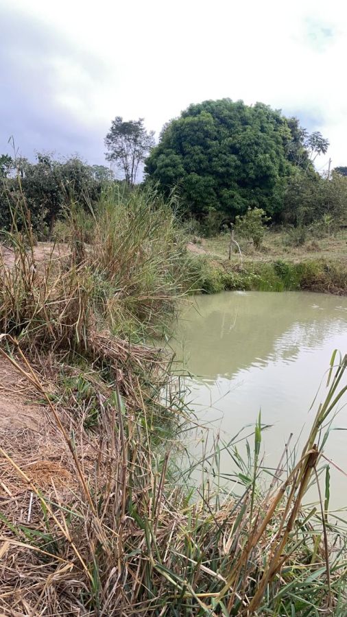 Fazenda/sítio/chácara/haras à venda  no Rio Verde - Bauru, SP. Imóveis