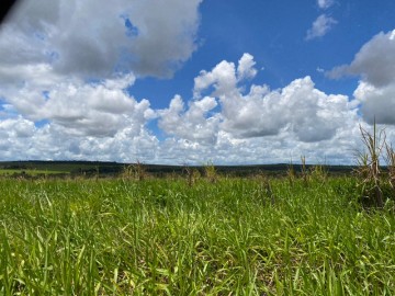 Fazenda - Venda - rea Rural de Mineiros - Mineiros - GO