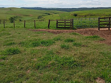 Fazenda - Venda - Área Rural de Garça - Garça - SP