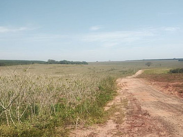 Fazenda 94 alqueires, Regi�o Bauru/SP
