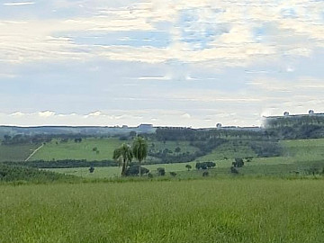 Fazenda - Venda - �rea Rural de Botucatu - Botucatu - SP