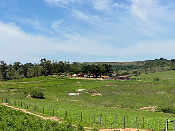Fazenda - Venda - Área Rural de Lins - Lins - SP