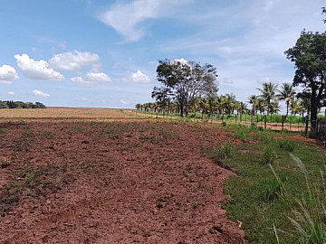 Fazenda - Venda - Área Rural de Bauru - Bauru - SP