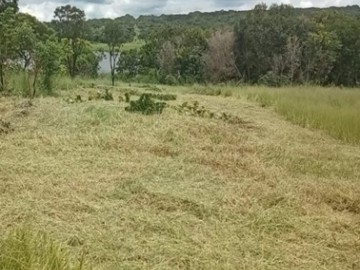 Terreno - Venda - Vale do Igap - Bauru - SP