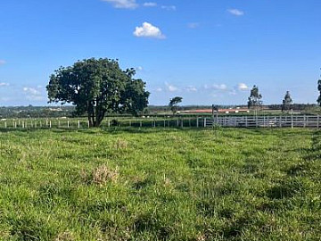 FAZENDA � VENDA - REGI�O DE SANTA B�RBARA/SP