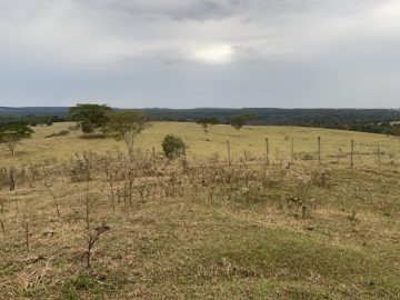 Fazenda - Venda - rea Rural de Bauru - Bauru - SP