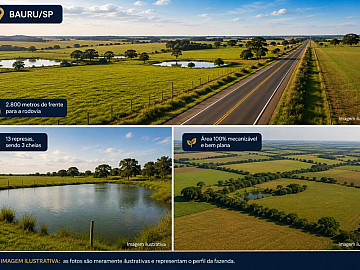 Fazenda � venda em Bauru/SP - 558 alqueires paulistas