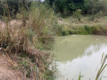 Chcara  Bairro Rio Verde  Bauru/SP  20.000m